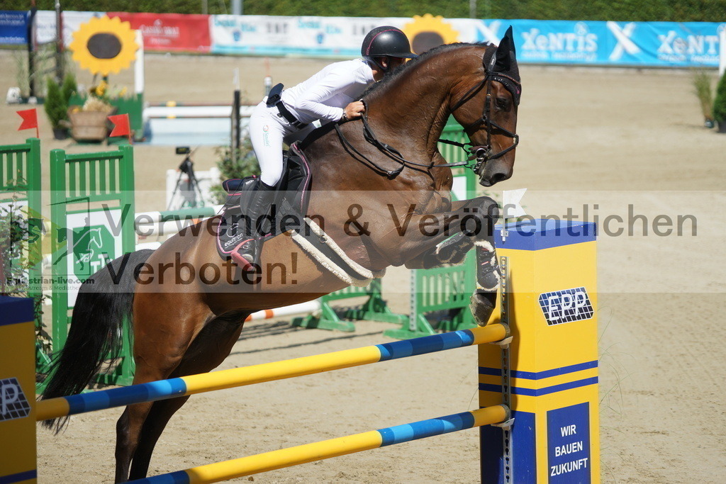 DSC05761 | equestrian-live-com