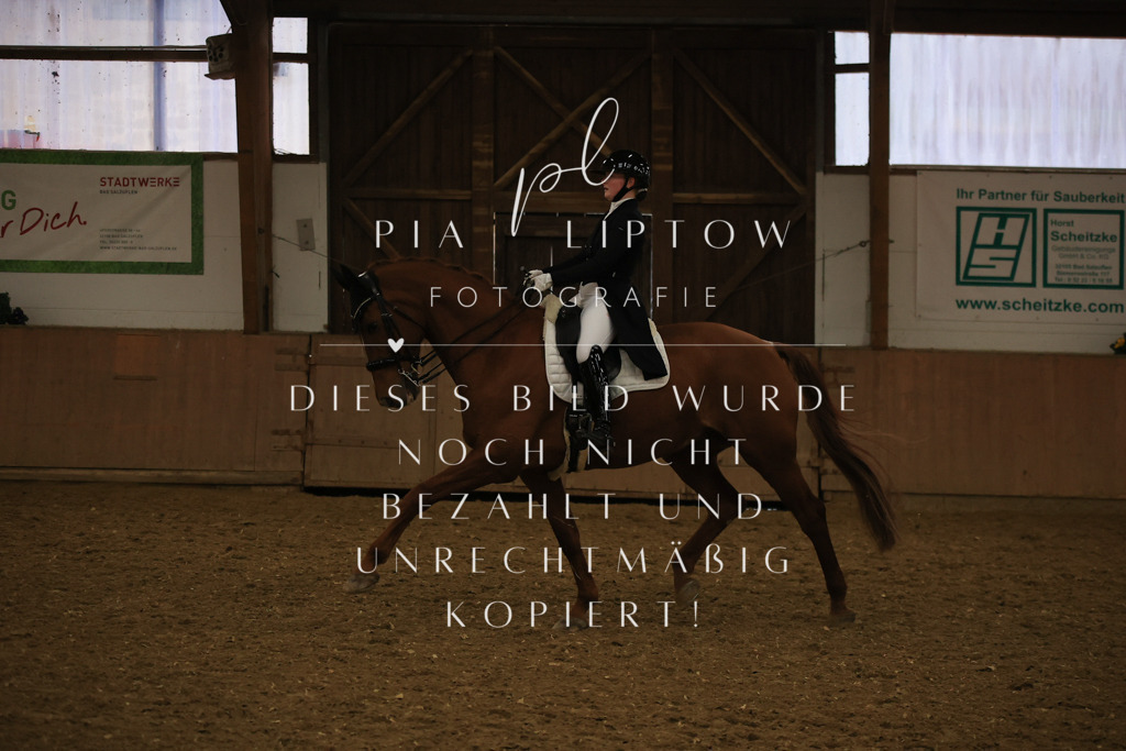 IMGT6334 | pl-fotografie