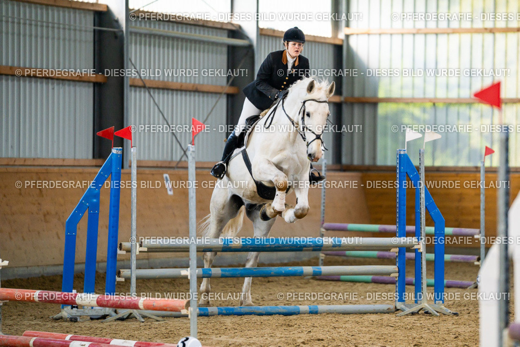 DSC00735 | Pferdegrafie