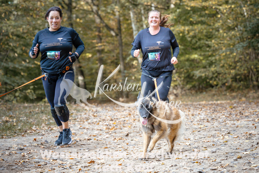1311_ZZ97607 | kk-dogfotos