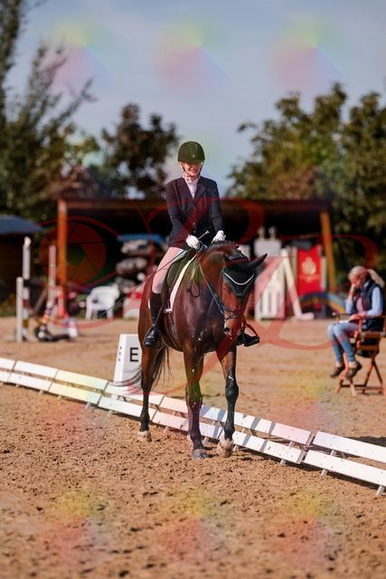 2026_10_03_Siefer-Hof_125536_Z81_45096650 | Professionelle Reitsport-, Turnier- und Eventfotografie von Robert Broda. Galerien mit ausgewählten und bearbeiteten Bildern direkt online ansehen und bestellen.