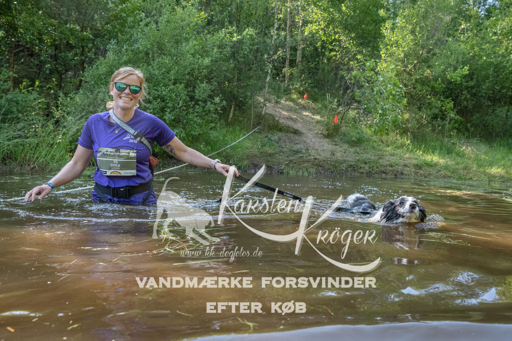 1722DKK992070 | kk-dogfotos