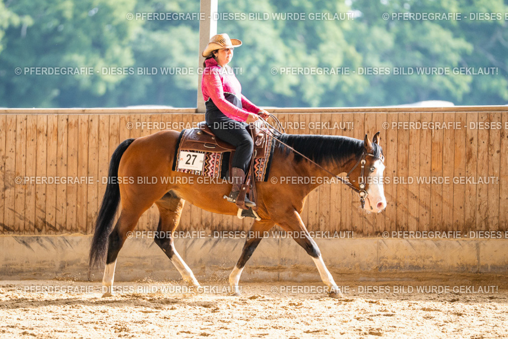 DSC08191 | Pferdegrafie