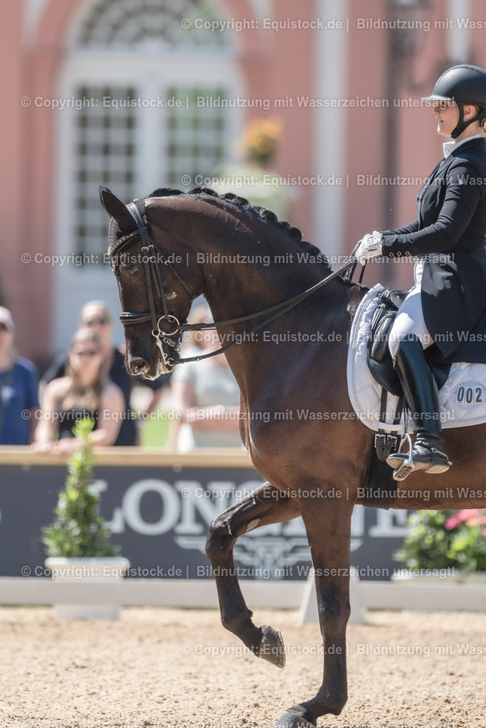 20230529_29_Louisdor_0133 | equistock
