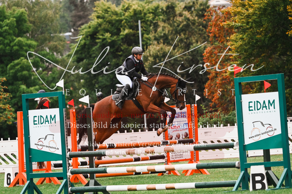 DSC_6580 | Pferde- und Turnierfotografie in Westsachsen. Pferdeportraits, Auftragszeichnungen und intuitive Kunst.