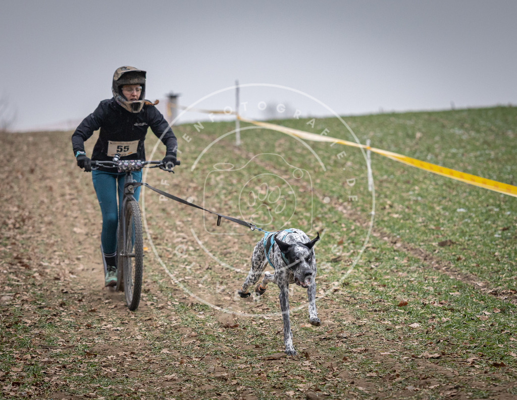 Pfotenfotografie_DV3A1187 | Hundefotografie, Tierfotograf, Pfotenfotografie, Fotoshooting Hund, Hunde Portrait, Hundesport, Hundeportraits, Heideshooting, Hunde, Sportfotograf, Hundefotograf, Turnierhundsport, THS,  - Realisiert mit Pictrs.com