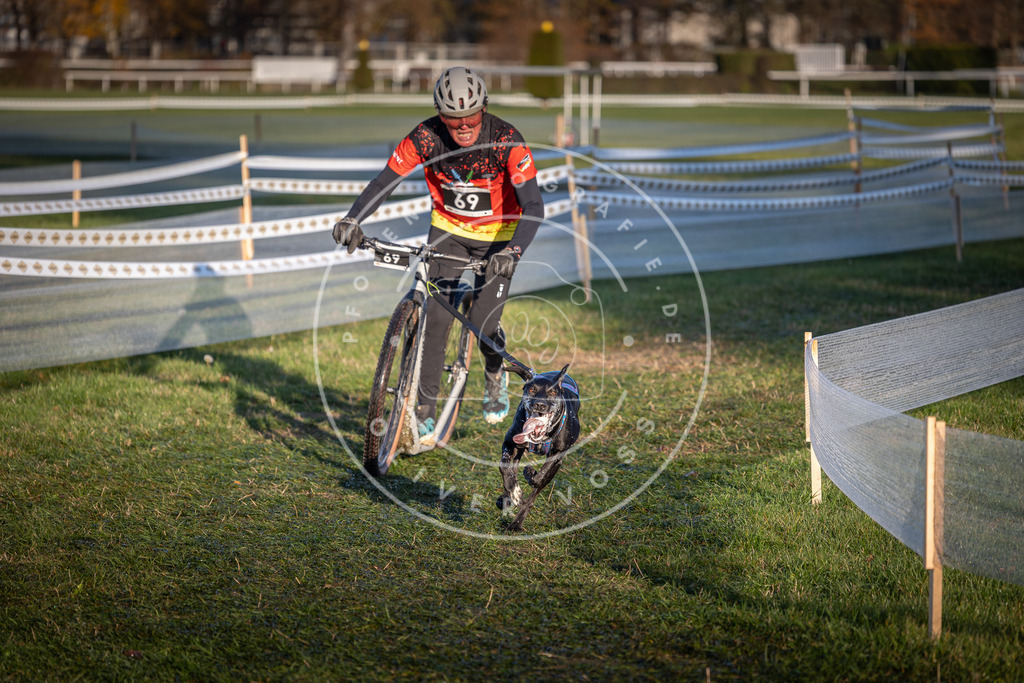 CaniXpix_0L8A3313 | Hundefotografie, Tierfotograf, Pfotenfotografie, Fotoshooting Hund, Hunde Portrait, Hundesport, Hundeportraits, Heideshooting, Hunde, Sportfotograf, Hundefotograf, Turnierhundsport, THS,  - Realisiert mit Pictrs.com