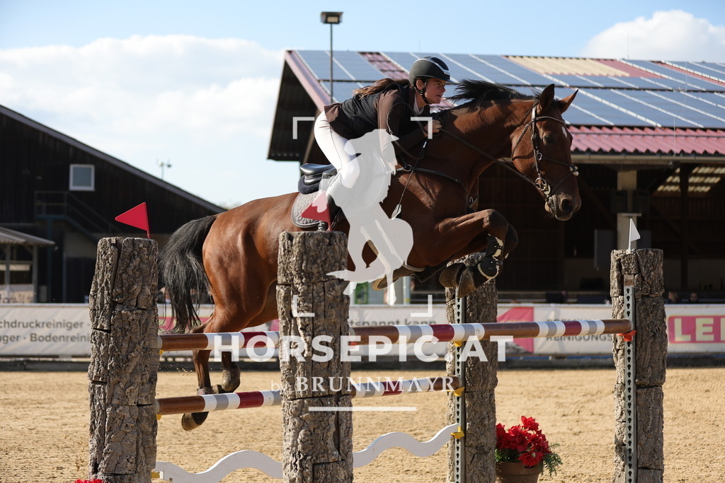 0P6A7935 | Willkommen bei Brunnmayr - Design & Fotografie – Ihrem Spezialisten für Reitturniere und Pferdeveranstaltungen in Oberösterreich, Salzburg und Bayern! Seit über 17 Jahren sind wir leidenschaftlich dabei.