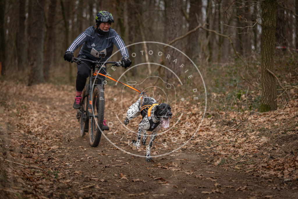 Pfotenfotografie_DV3A7024 | Hundefotografie, Tierfotograf, Pfotenfotografie, Fotoshooting Hund, Hunde Portrait, Hundesport, Hundeportraits, Heideshooting, Hunde, Sportfotograf, Hundefotograf, Turnierhundsport, THS,  - Realisiert mit Pictrs.com