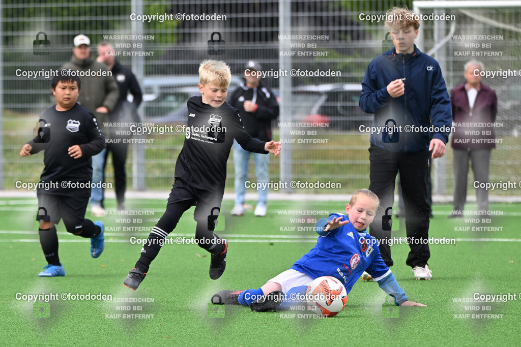 DSC_6874 | SG Sengwarden Fedderwarden (blau) / Eintracht Plaggenburg (schwarz)