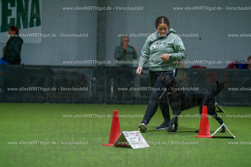 7R505833 | Professionelle Tierfotografie in Mönchengladbach von Daniel Wirth (allesWIRTHgut). Liebevolle & natürliche Bilder von Hunden & Katzen für unvergessliche Erinnerungen.