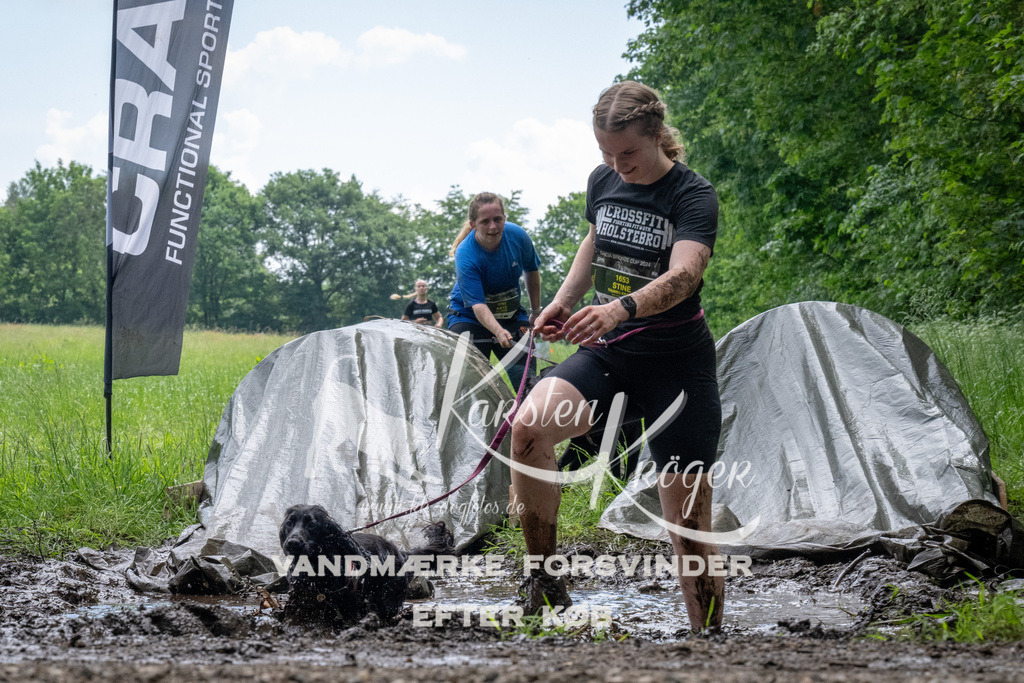 1114_ZZ92013 | kk-dogfotos