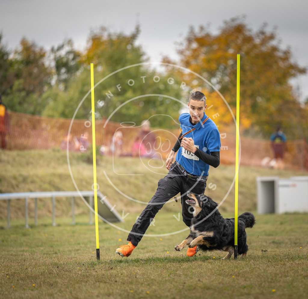 Pfotenfotografie_DV3A5230 | Hundefotografie, Tierfotograf, Pfotenfotografie, Fotoshooting Hund, Hunde Portrait, Hundesport, Hundeportraits, Heideshooting, Hunde, Sportfotograf, Hundefotograf, Turnierhundsport, THS,  - Realisiert mit Pictrs.com