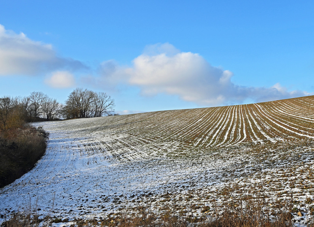 Nikon-Utendorf260105-Feld02 | lucisnaturbilder - Realisiert mit Pictrs.com