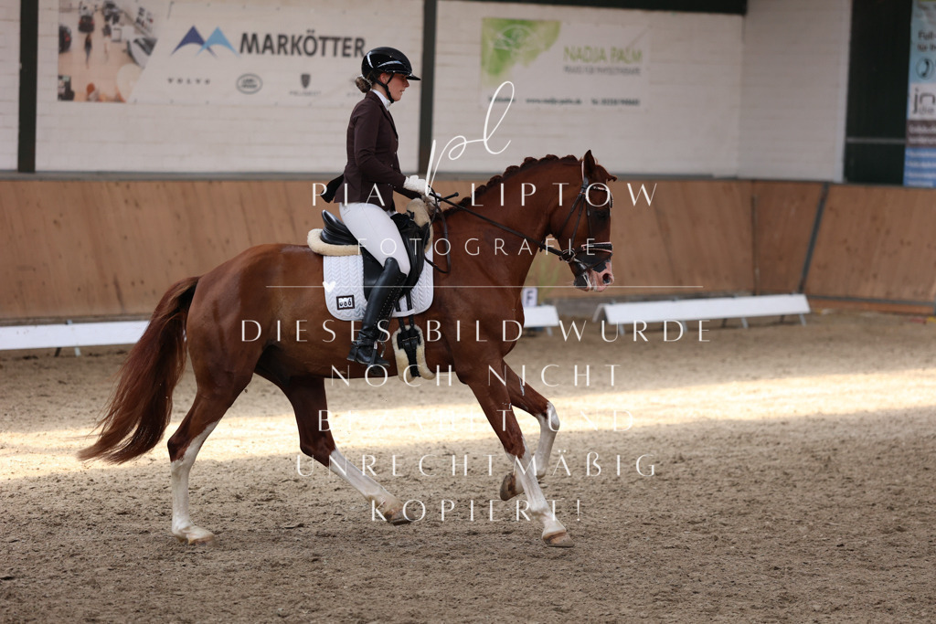 IMGM8659 | pl-fotografie