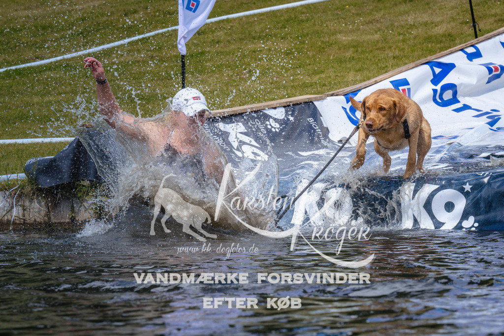 _ZZ991961051 | kk-dogfotos