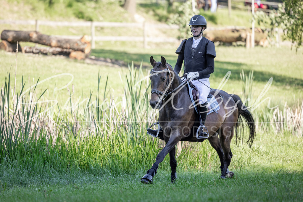 20260523-_3LI6070 | Tierfotografie Pferde, Hunde, Katzen, Haustiere.
Turnierfotografie Reitturniere, Reiten, Springreiten, Dressur in Hanau, dem Main-Kinzig-Kreis und dem Rhein-Main- Gebiet um Frankfurt