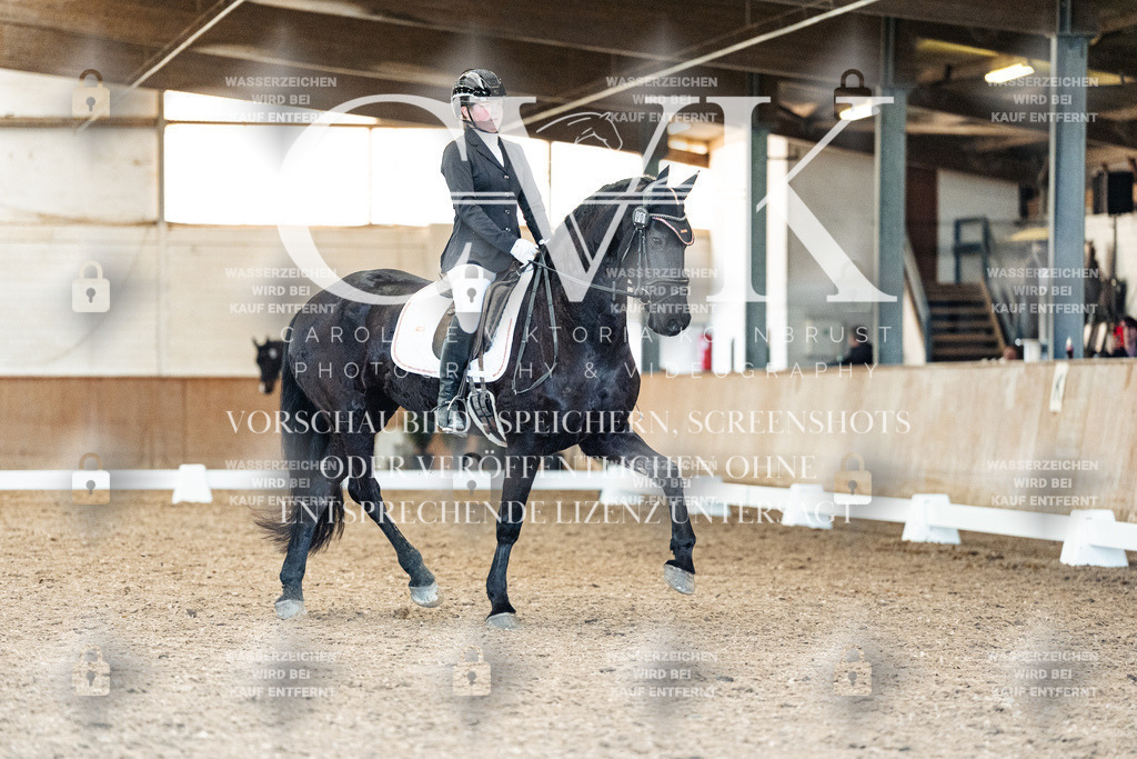 CK909765 | Turnierfotografie Pferdefotografie Trier Rheinland-Pfalz Pferdesport Reitsport Tierfotografie Sportfotografie Pferdevideo Pferdevideografie Equestrianvideography equestrianphotography  - Realisiert mit Pictrs.com