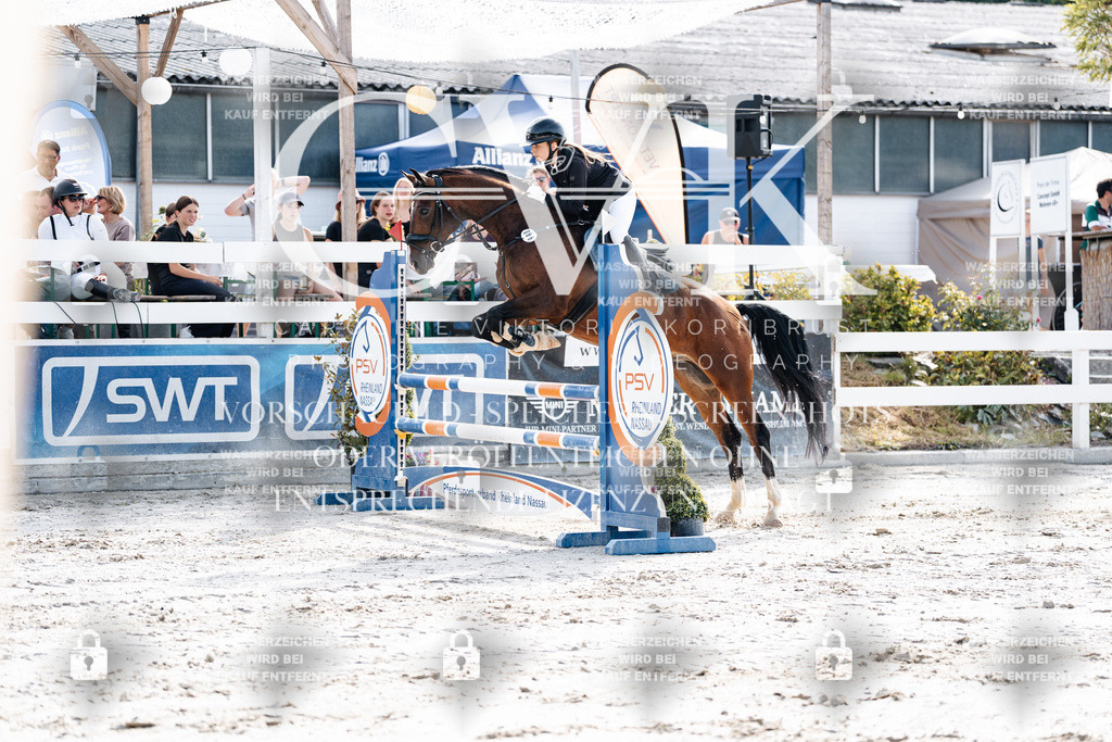 CK905648 | Turnierfotografie Pferdefotografie Trier Rheinland-Pfalz Pferdesport Reitsport Tierfotografie Sportfotografie Pferdevideo Pferdevideografie Equestrianvideography equestrianphotography  - Realisiert mit Pictrs.com