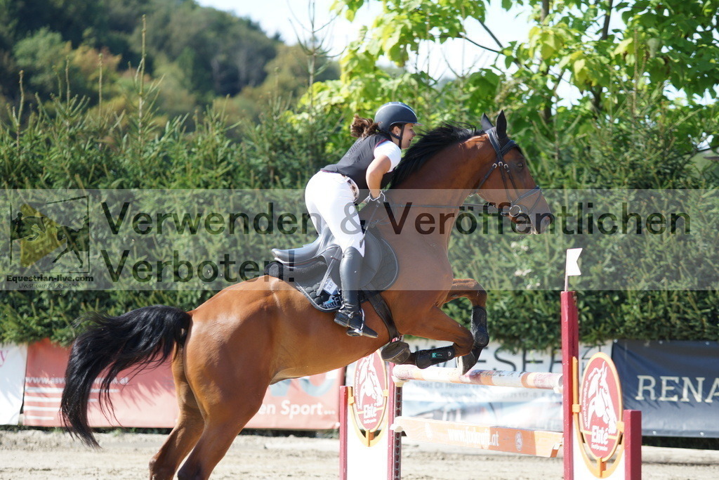 DSC01582 | equestrian-live-com