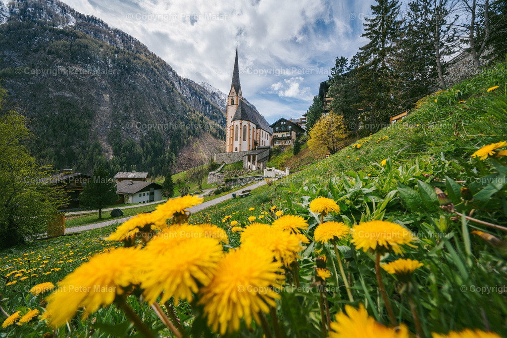 Frühling-Mölltal-32 | piet_flosse