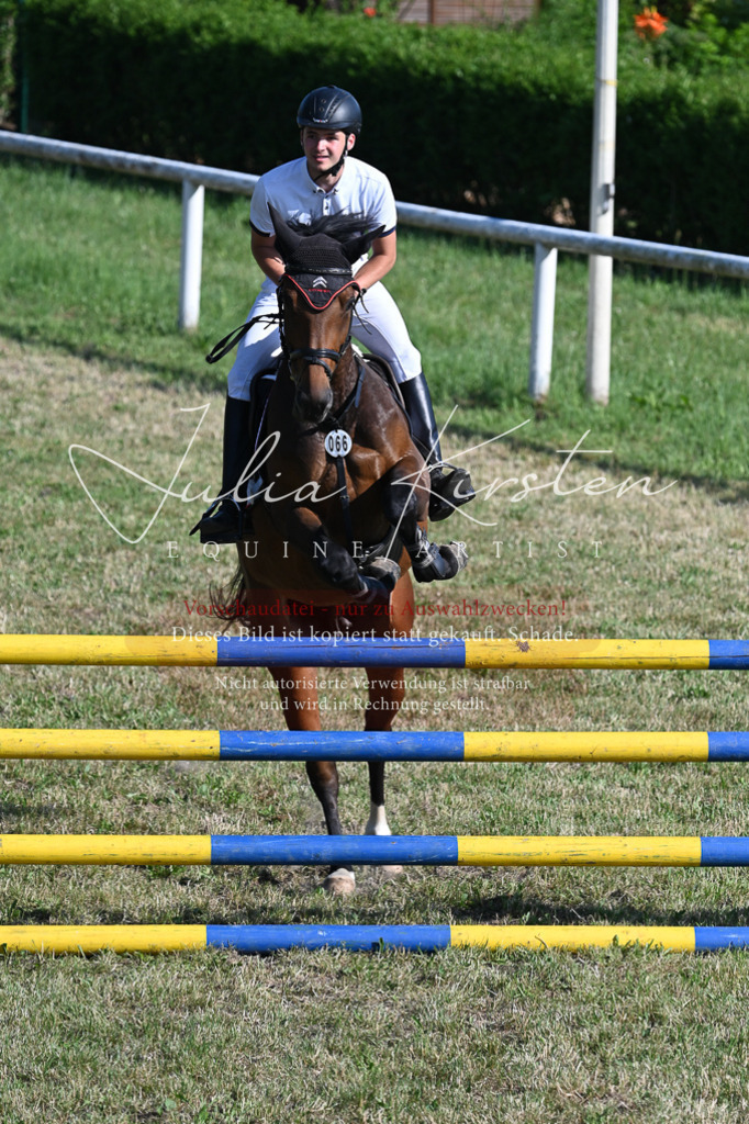 DSC_2512 | Pferde- und Turnierfotografie in Westsachsen. Pferdeportraits, Auftragszeichnungen und intuitive Kunst.