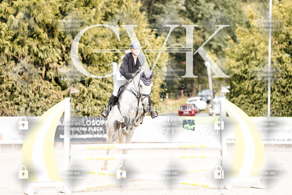 CK901848 | Turnierfotografie Pferdefotografie Trier Rheinland-Pfalz Pferdesport Reitsport Tierfotografie Sportfotografie Pferdevideo Pferdevideografie Equestrianvideography equestrianphotography  - Realisiert mit Pictrs.com