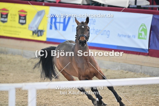 40_Kanbalou - Cezaro_790_8291 | Björn Schroeder Pferdefotografie