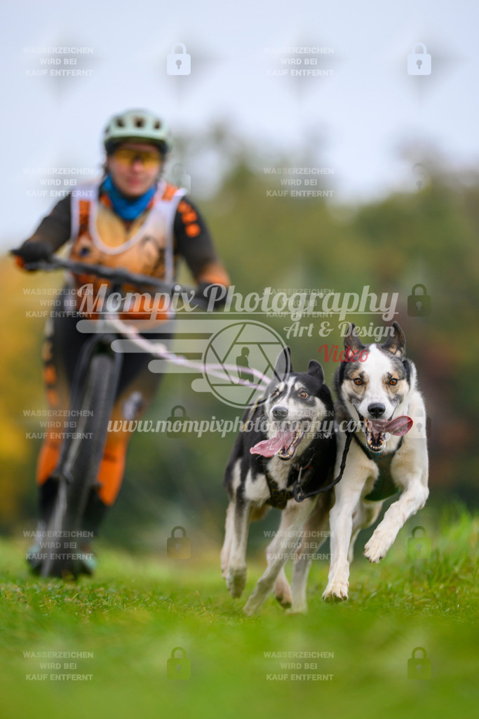 MompixPhotography_CDLBDB2025_DI_DS-15 | PayLife