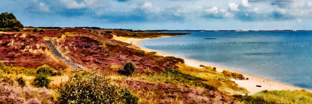 PDM2_2409_BraderupHeide_180x60 | DIGITALKUNST. Braderuper Heide -03. __ Holzbohlenweg an der Ostküste der Insel Sylt - führt durch die blühende Heidelandschaft in Braderup. __ Formatvariation. Seitenverhältnis = 3 zu 1 - Realisiert mit Pictrs.com