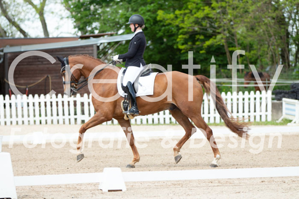 IMG_6166 | Creatify Fotografie