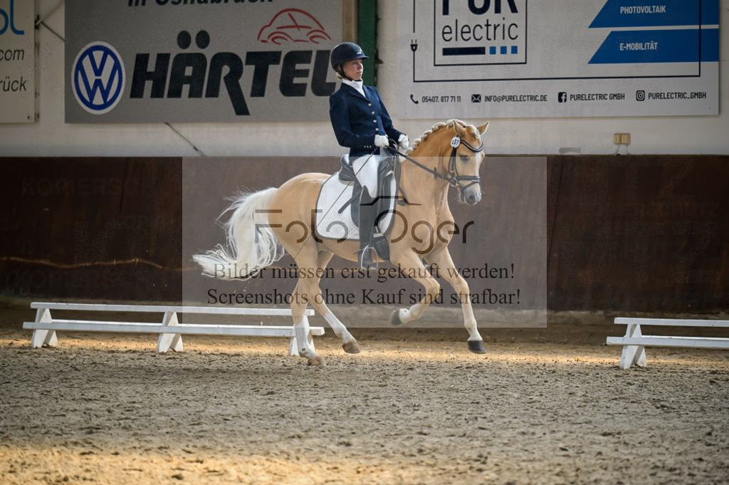 Reitturnier Voxtrup | Entdecke hochwertige Reitturnierfotos von Foto Oger. Professionell, emotional und authentisch – jetzt Lieblingsmomente im Shop bestellen.Deutschlandweite Turnierfotografie. - Realisiert mit Pictrs.com