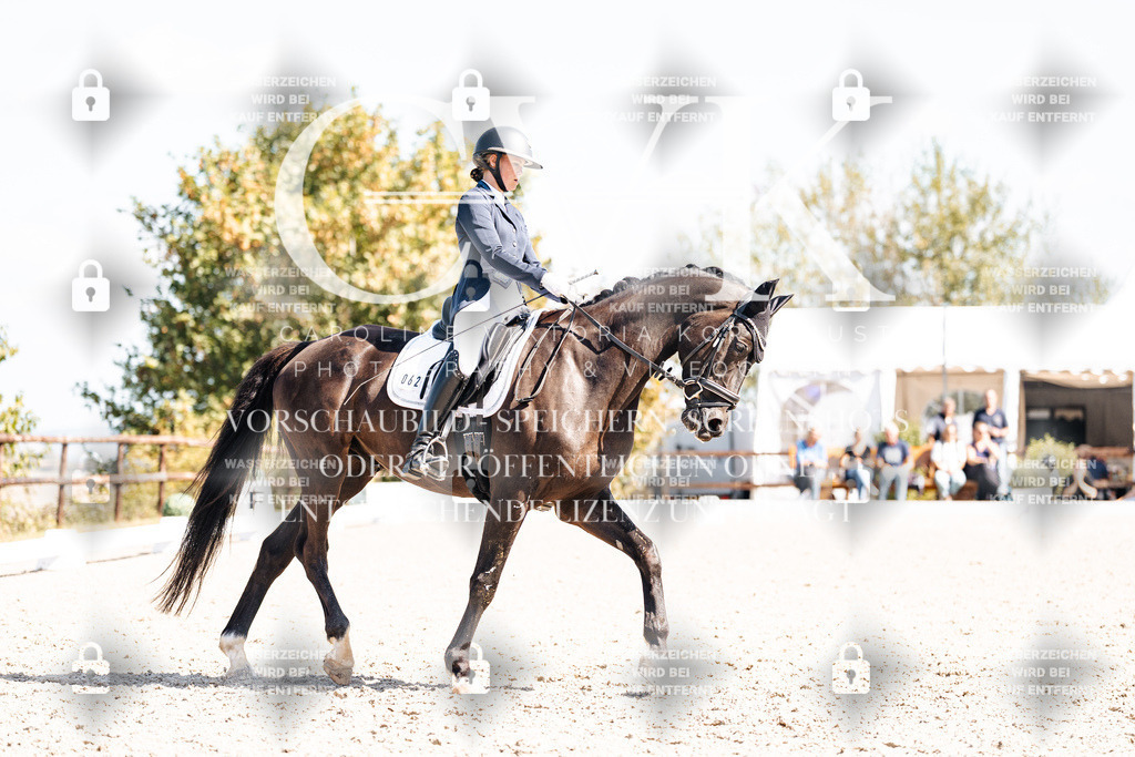 CK903423 | Turnierfotografie Pferdefotografie Trier Rheinland-Pfalz Pferdesport Reitsport Tierfotografie Sportfotografie Pferdevideo Pferdevideografie Equestrianvideography equestrianphotography  - Realisiert mit Pictrs.com
