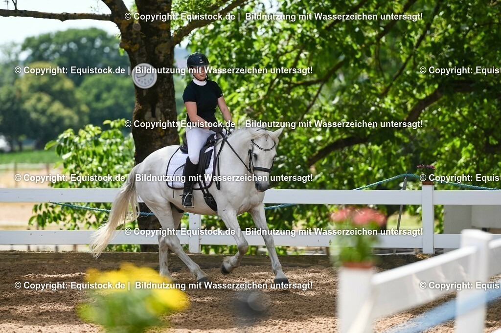 20230715_09_Dressur-WB_0070 | equistock