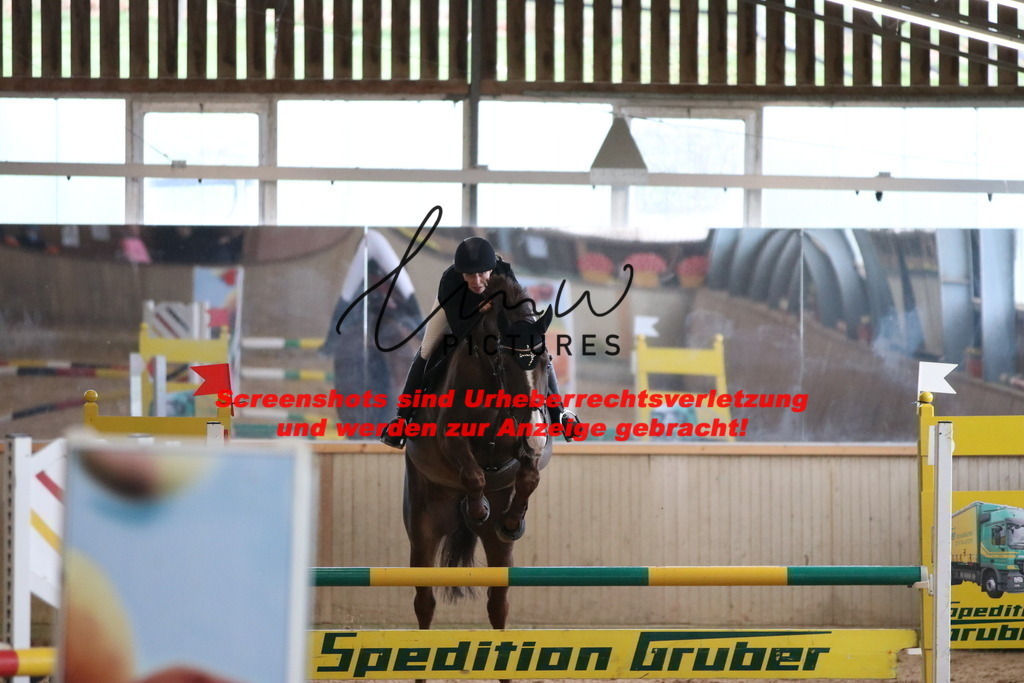 IMG_5702 | lmwpictures - Realisiert mit Pictrs.com