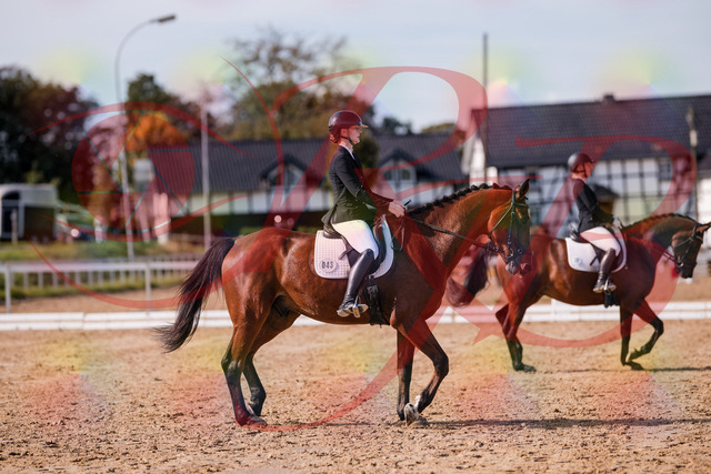 2026_10_03_Siefer-Hof_130840_Z81_61388279 | Professionelle Reitsport-, Turnier- und Eventfotografie von Robert Broda. Galerien mit ausgewählten und bearbeiteten Bildern direkt online ansehen und bestellen.