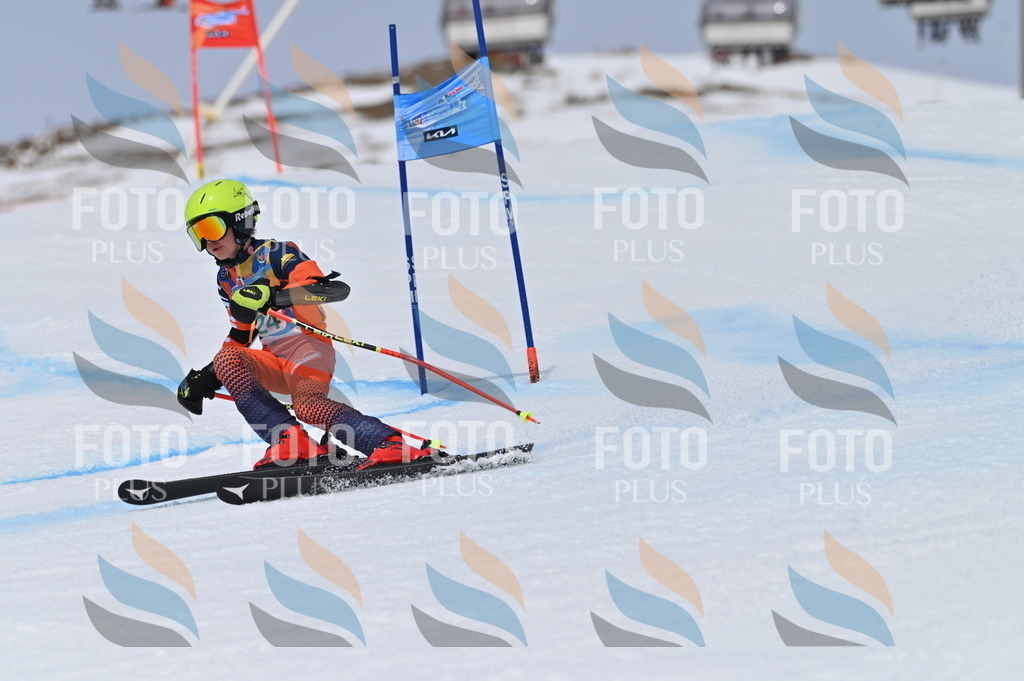 BGV_4413 | holidayphoto