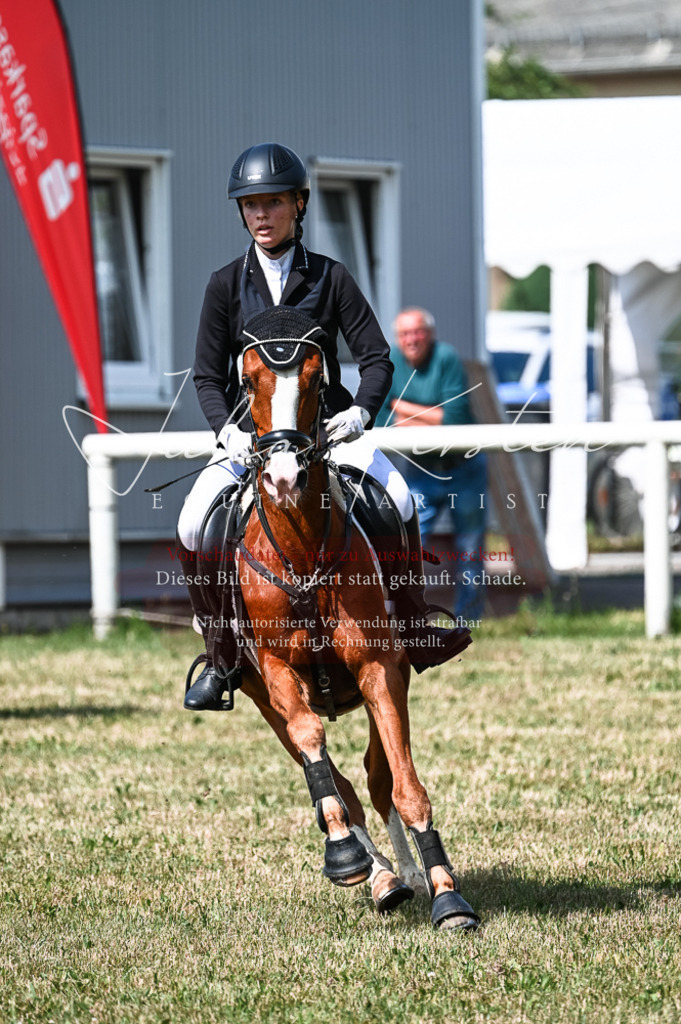 DSC_8722 | Pferde- und Turnierfotografie in Westsachsen. Pferdeportraits, Auftragszeichnungen und intuitive Kunst.
