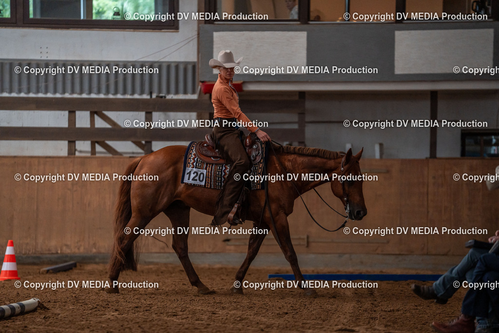 Neckargemünd Tag 2-29 | dv-media-shop - Realisiert mit Pictrs.com