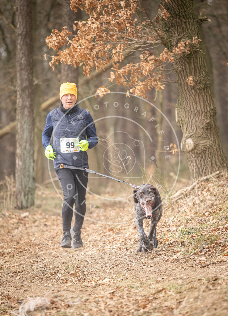 Pfotenfotografie_DV3A5011 | Hundefotografie, Tierfotograf, Pfotenfotografie, Fotoshooting Hund, Hunde Portrait, Hundesport, Hundeportraits, Heideshooting, Hunde, Sportfotograf, Hundefotograf, Turnierhundsport, THS,  - Realisiert mit Pictrs.com
