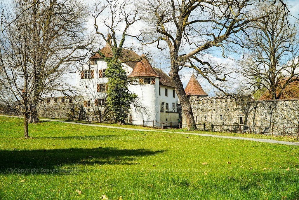EEF3F1F7-6F65-41B6-A3B5-3A04C5779C25 | Ich fotografiere Landschaften, Produkte und erstelle für Sie Firmenportraits. Engagieren Sie mich für den nächsten Projekt. - Realisiert mit Pictrs.com