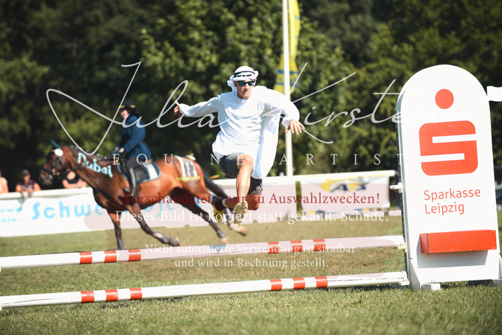 DSC_7593 | Pferde- und Turnierfotografie in Westsachsen. Pferdeportraits, Auftragszeichnungen und intuitive Kunst.