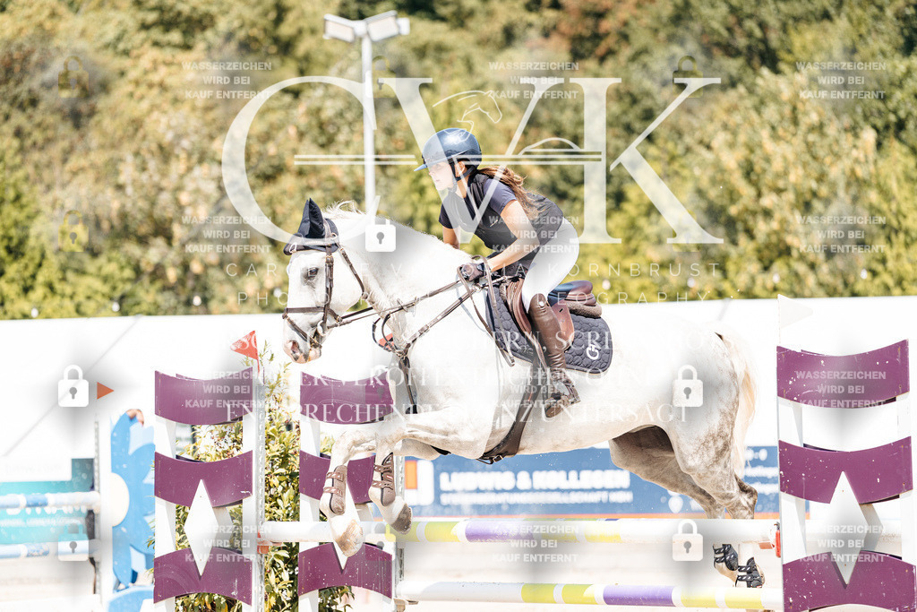 CK900786 | Turnierfotografie Pferdefotografie Trier Rheinland-Pfalz Pferdesport Reitsport Tierfotografie Sportfotografie Pferdevideo Pferdevideografie Equestrianvideography equestrianphotography  - Realisiert mit Pictrs.com