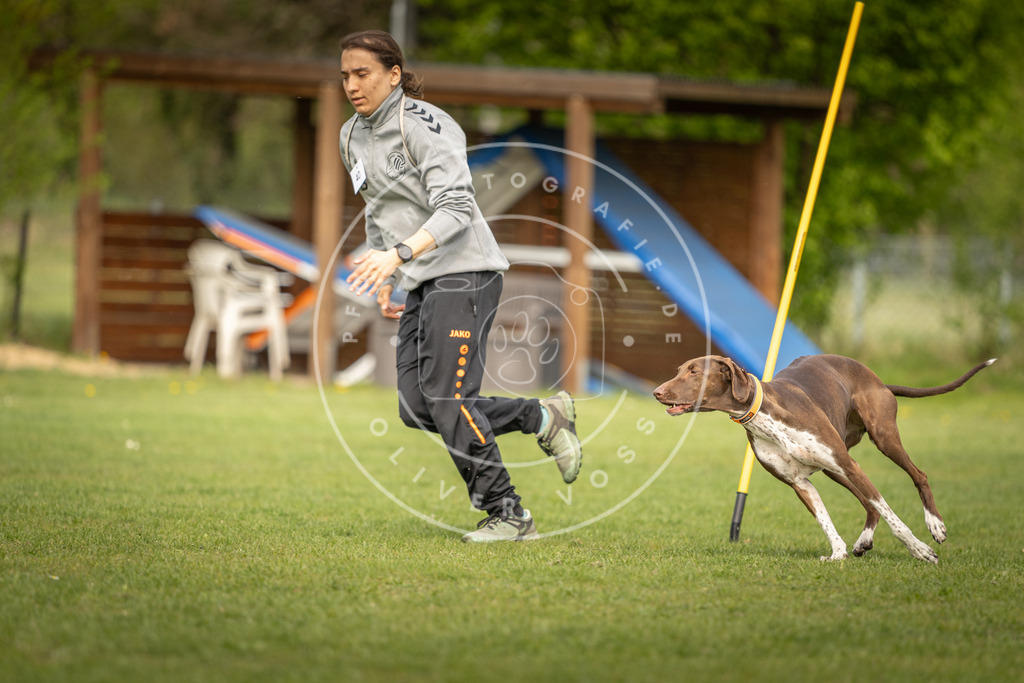 Pfotenfotografie_DV3A5156 | Hundefotografie, Tierfotograf, Pfotenfotografie, Fotoshooting Hund, Hunde Portrait, Hundesport, Hundeportraits, Heideshooting, Hunde, Sportfotograf, Hundefotograf, Turnierhundsport, THS,  - Realisiert mit Pictrs.com