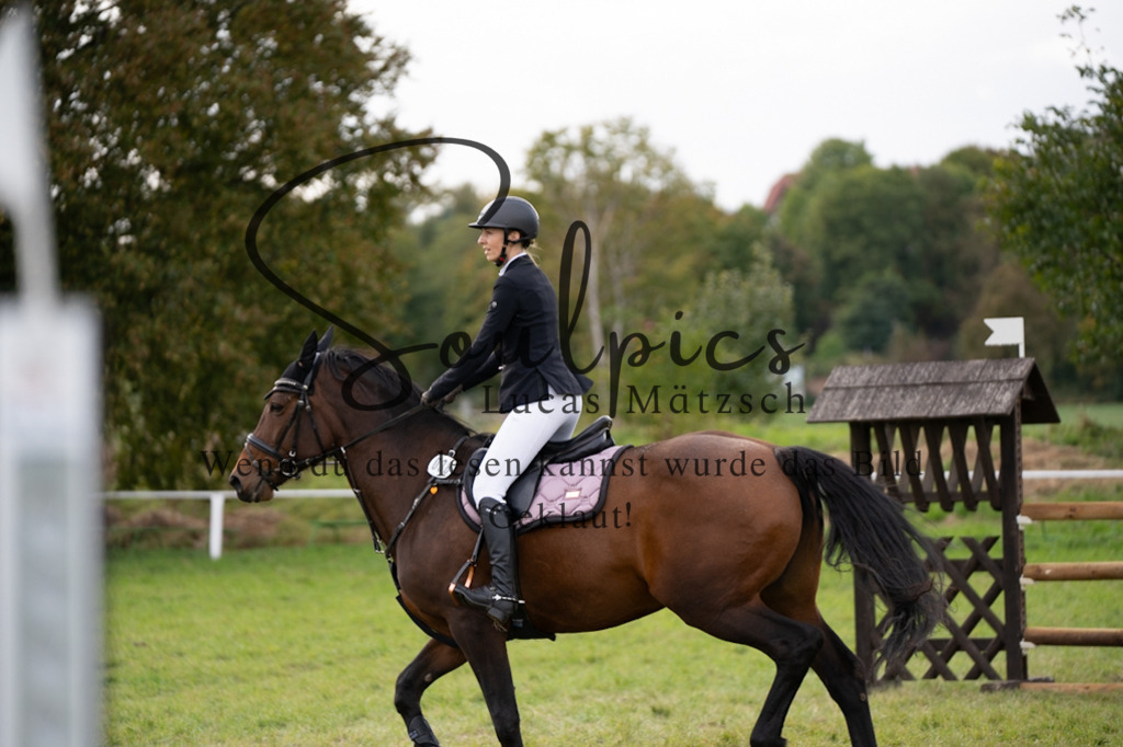 A7V07299 | Turnier/Reitfotograf