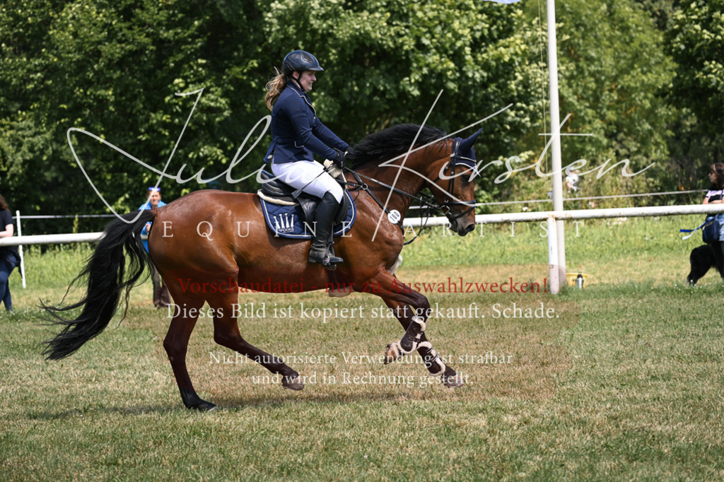 DSC_0239 | Pferde- und Turnierfotografie in Westsachsen. Pferdeportraits, Auftragszeichnungen und intuitive Kunst.