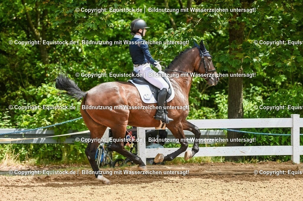20230716_03_Dressurprfg. Kl.L - Tr._0284 | equistock