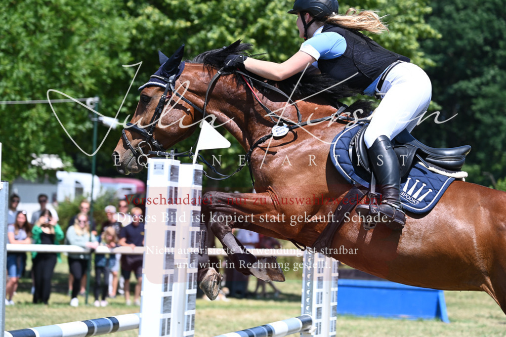 DSC_0661 | Pferde- und Turnierfotografie in Westsachsen. Pferdeportraits, Auftragszeichnungen und intuitive Kunst.