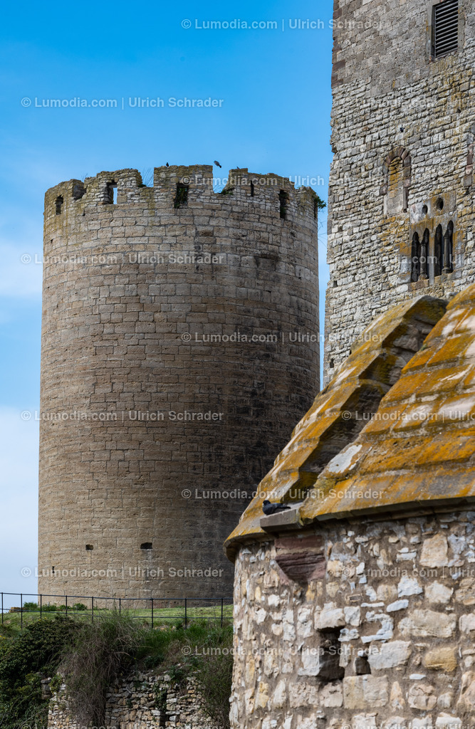 10049-12456 - Burg Querfurt - Sachsen-Anhalt | Stockfoto und Bilderpool mit Bildmaterial aus Deutschland, dem Harz, Halberstadt, Quedlinburg, Wernigerode und weltweit. Qualitativ hochwertige und professionelle Fotos anschauen und kaufen. - Realisiert mit Pictrs.com