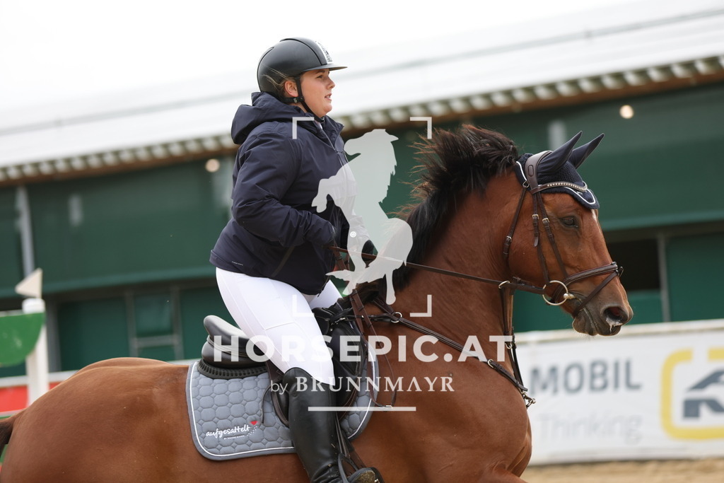 0P6A2336 | Willkommen bei Brunnmayr - Design & Fotografie – Ihrem Spezialisten für Reitturniere und Pferdeveranstaltungen in Oberösterreich, Salzburg und Bayern! Seit über 17 Jahren sind wir leidenschaftlich dabei.